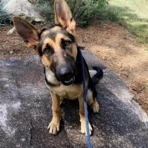 Meet your Posher, Tanner