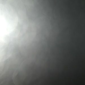 Meet your Posher, Martha