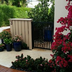 Meet your Posher, Lauri