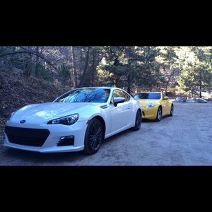 Meet your Posher, Hector