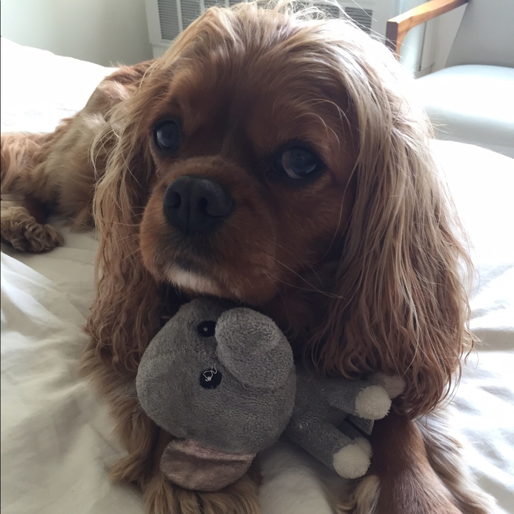 Meet your Posher, Mckayla