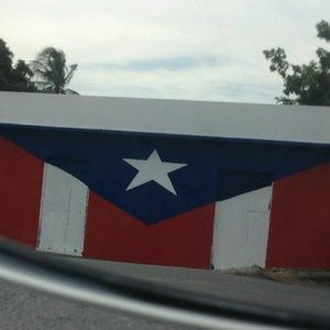 Meet your Posher, Dolly