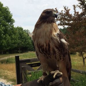 Meet your Posher, Ann