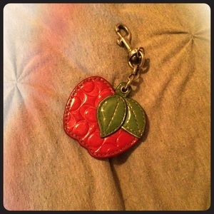 Coach keychain