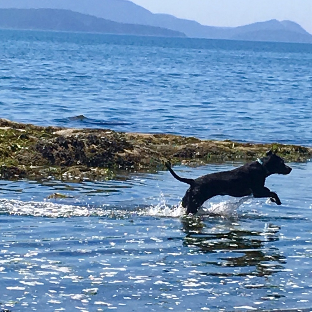 Meet your Posher, Noora