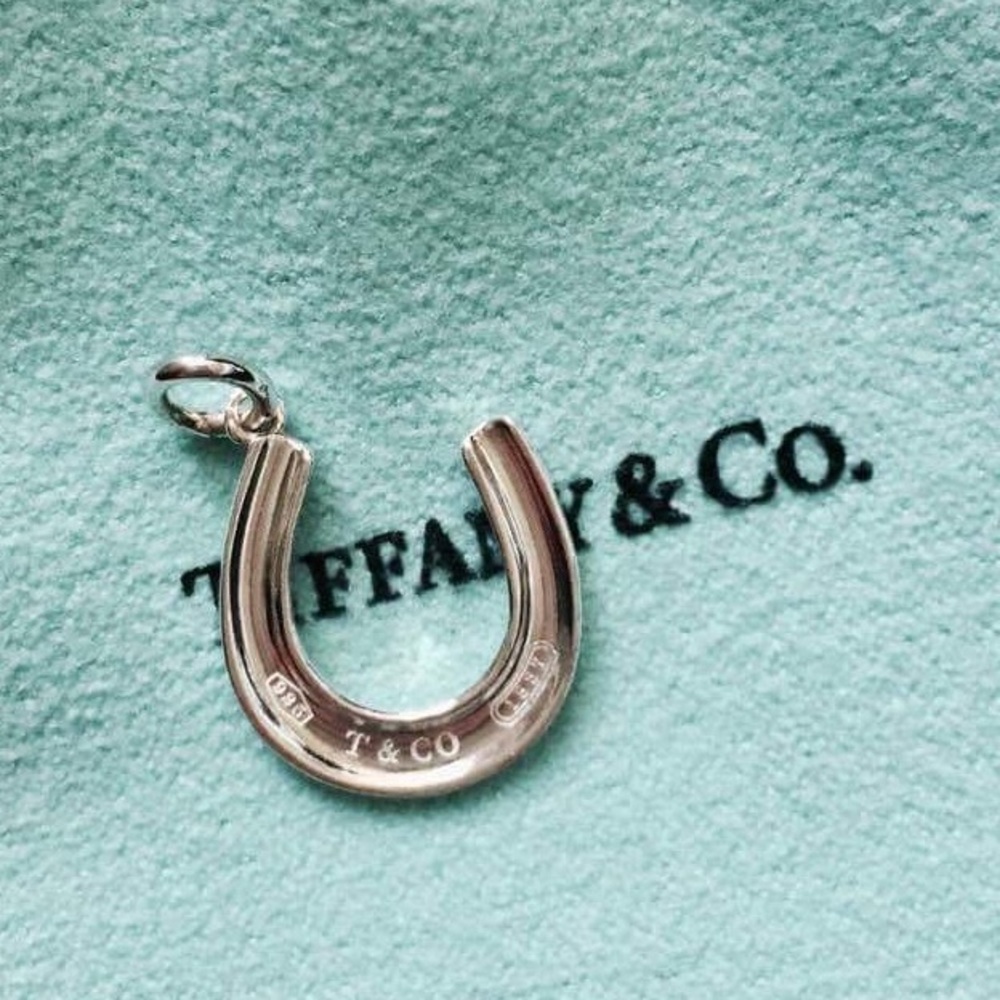 Authentic Tiffany&Co 1837 Horseshoe Charm - Silver