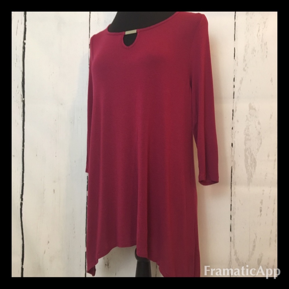 Absolutely Famous burgundy tunic top.