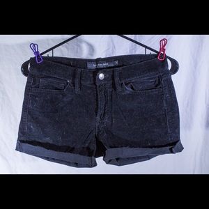 Calvin Klein Cutoffs
