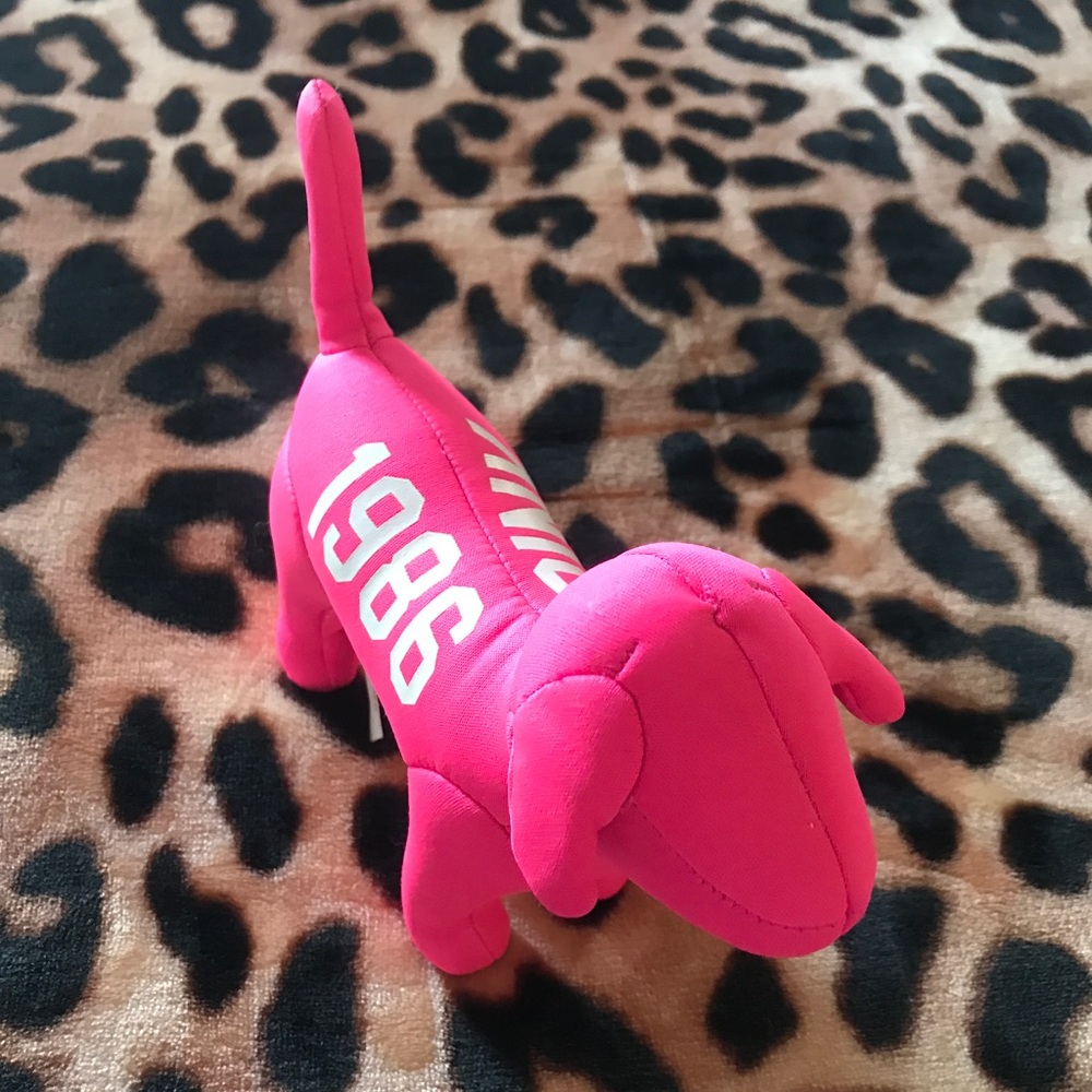 Vs PINK dog