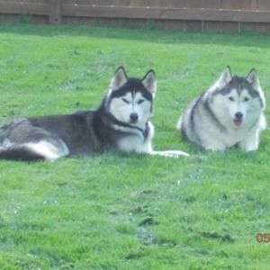 Meet your Posher, Rhonda