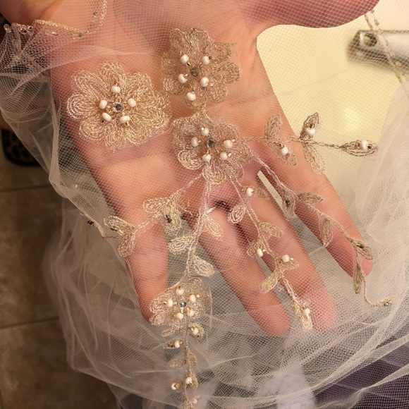 Davids bridal veil - Picture 3 of 5