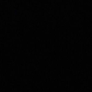 Meet your Posher, Gavin