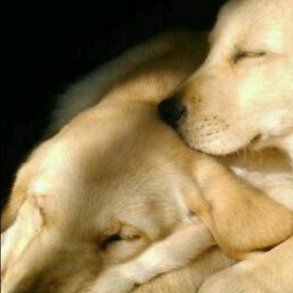 Meet your posher, Rachel - Picture 8 of 8