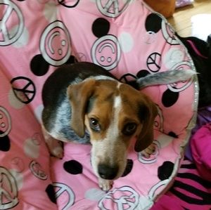 Meet your Posher, Haley