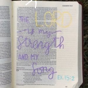 Meet your Posher, Abby