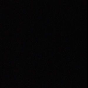 Meet your Posher, Sebastion