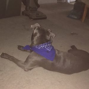 Meet your Posher, Chunk