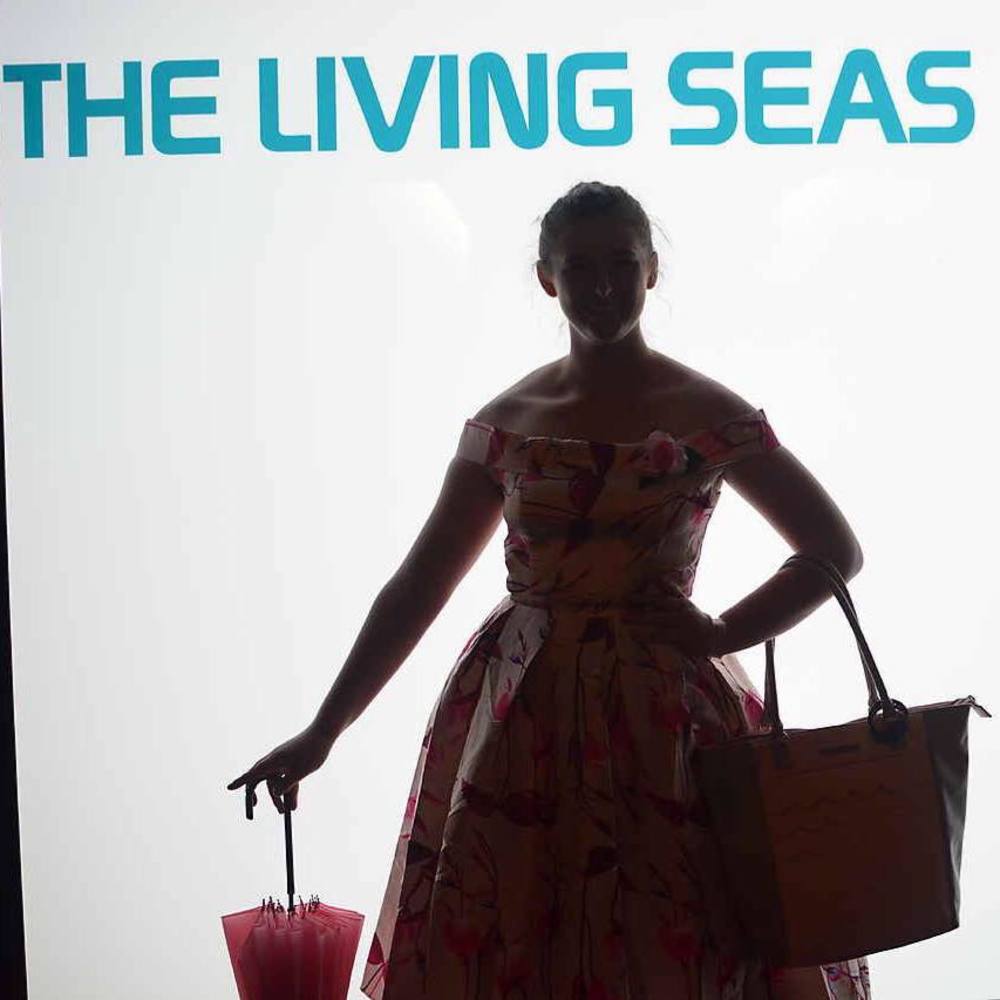 Meet your Posher, Meghan