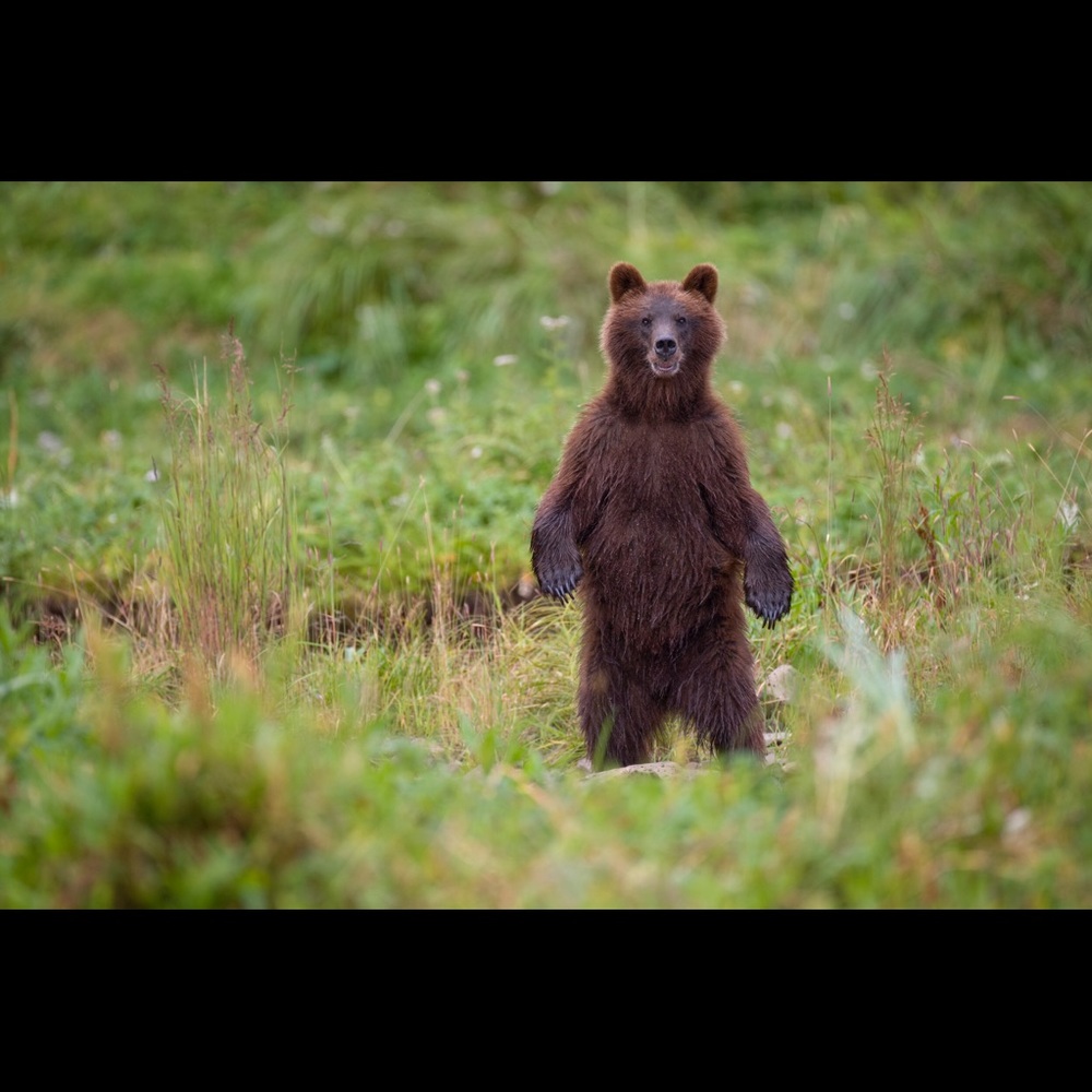 Meet your Posher, Scott