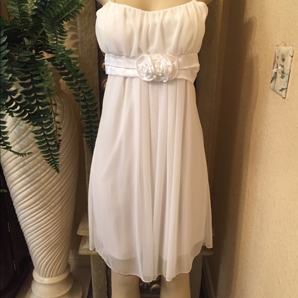 Sheer Cream Dress Over Cream Liner Sz 15/16