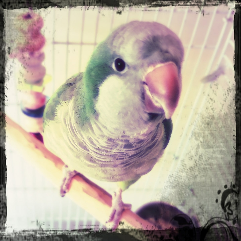 Meet your Posher, Mandy