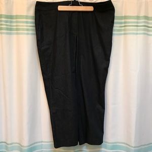 ANN TAYLOR Dark Wash Chambray Cropped Pants - 16