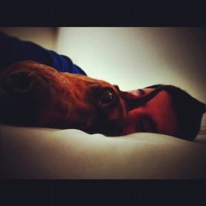 Meet your Posher, Serge