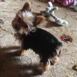 Meet your Posher, Jennifer