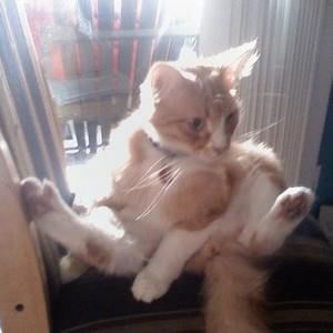 Meet your Posher, Jenny