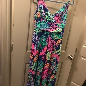 NWOT Sloane Maxi Dress (L)