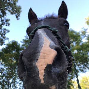 Meet your Posher, Cindy