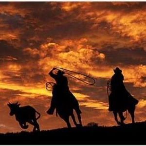 Meet your Posher, Fletcher