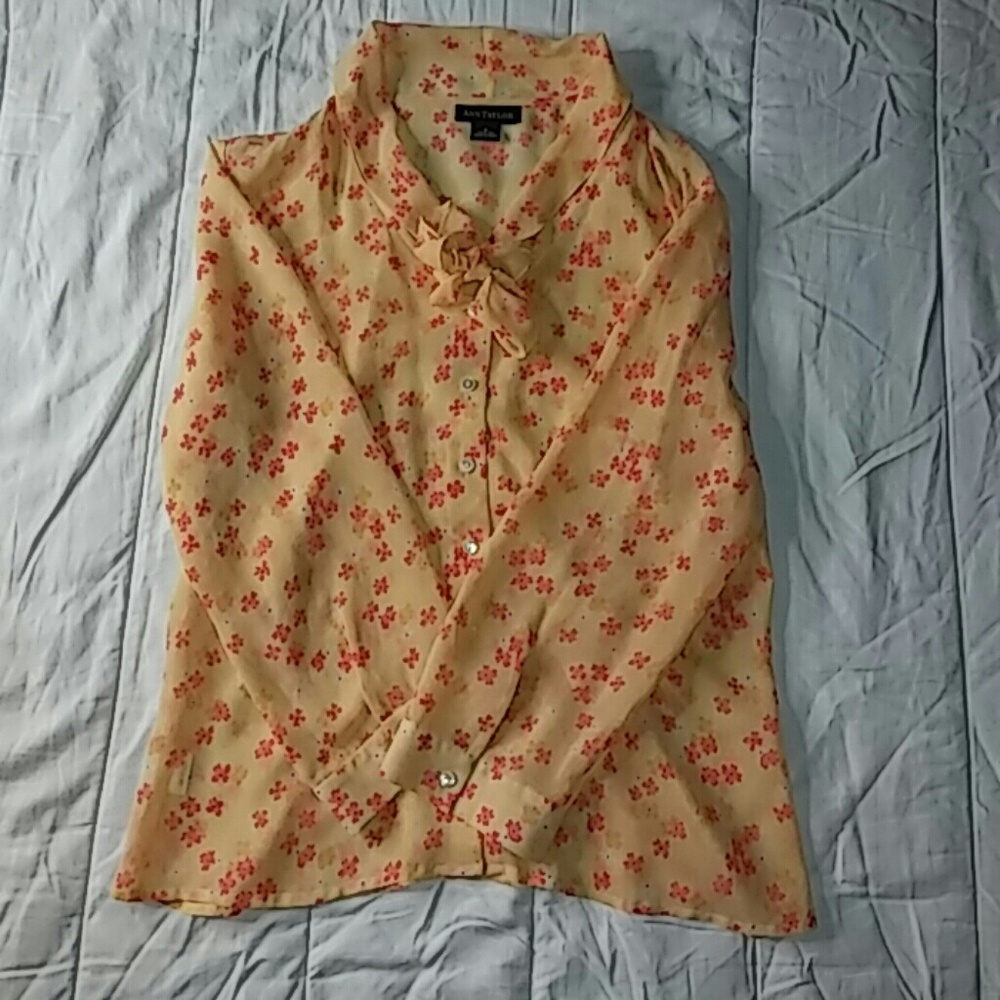 Ann Taylor silk blouse.