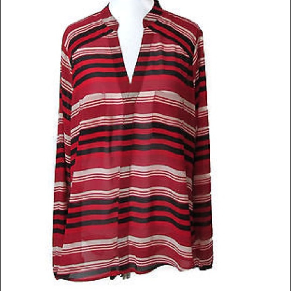 Beautiful multicolor sheer tunic blouse