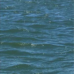 Meet your Posher, Cole