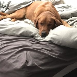 Meet your Posher, Miranda