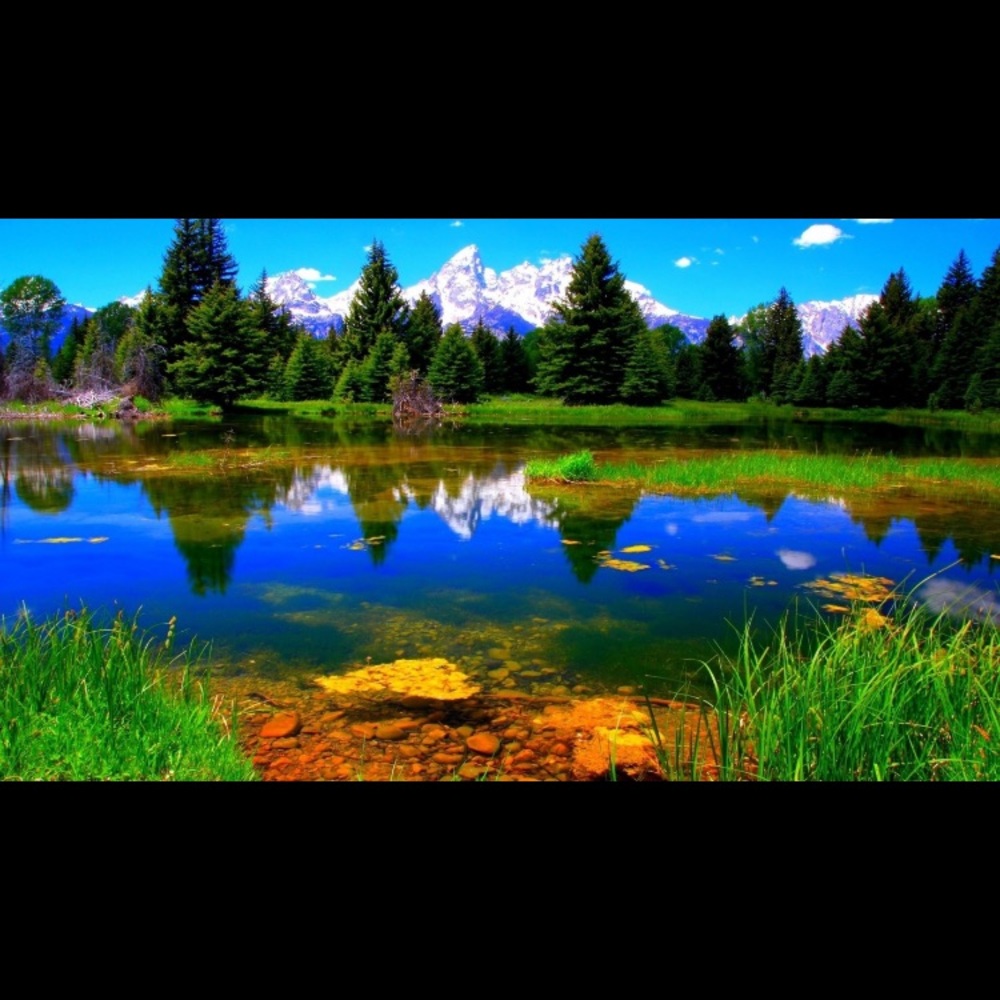 Meet your Posher, Savia