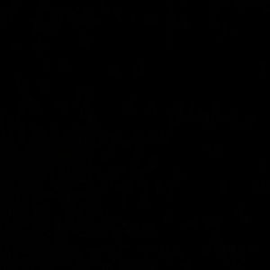 Meet your Posher, Sue