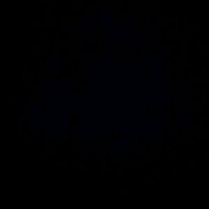 Meet your Posher, Evelyn