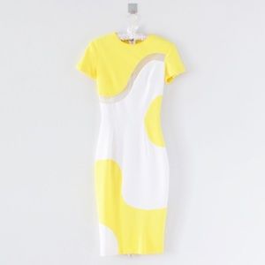 Graphic Colorblock Fitted Dress