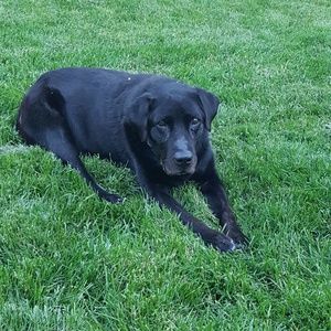 Meet your Posher, Stacy