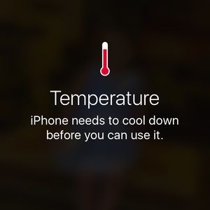 Meet your Posher, Haidar