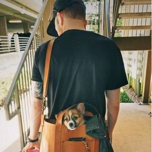 Meet your Posher, Tyler