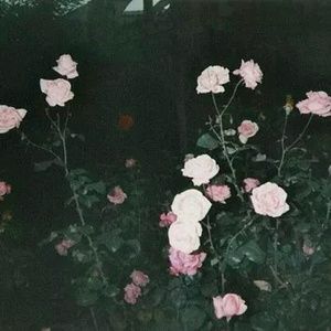 Meet your Posher, Rux