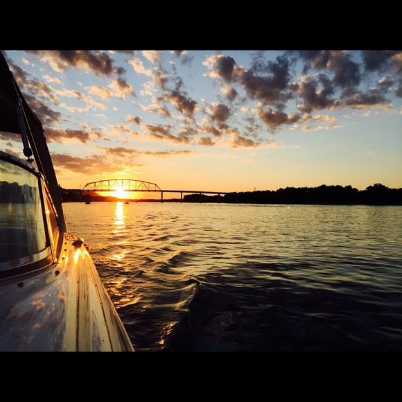 Meet your Posher, Grace - Picture 1 of 1