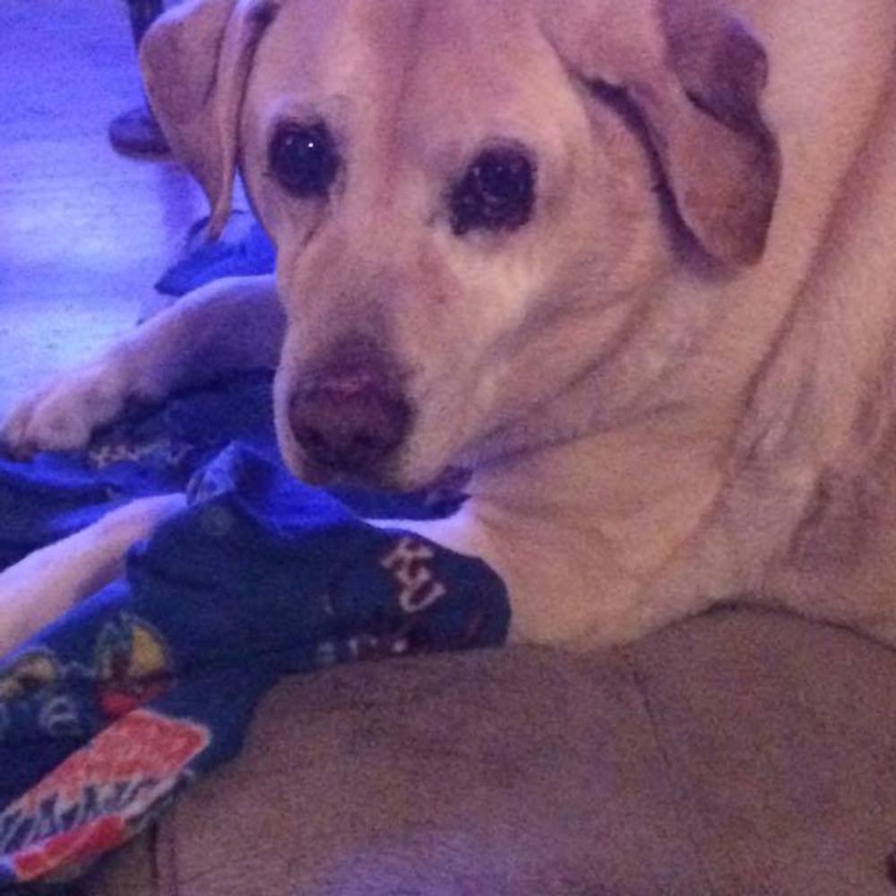 Meet your Posher, Kelly