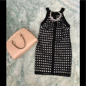 New Bailey 44 Manta Ray beautiful black dress