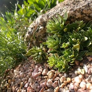 Meet your Posher, Melanie