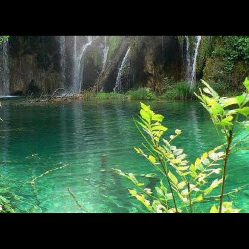 Meet your Posher, Phaimy