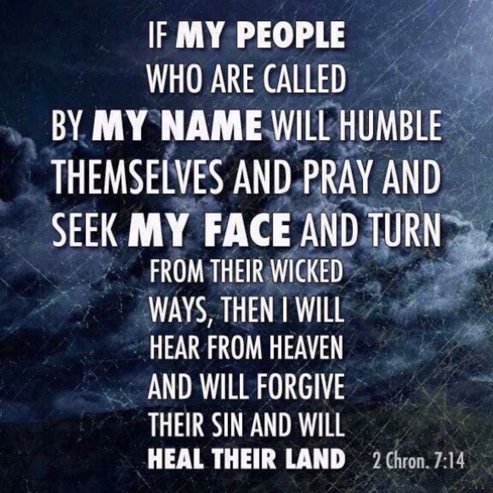 Meet your Posher, Tonya